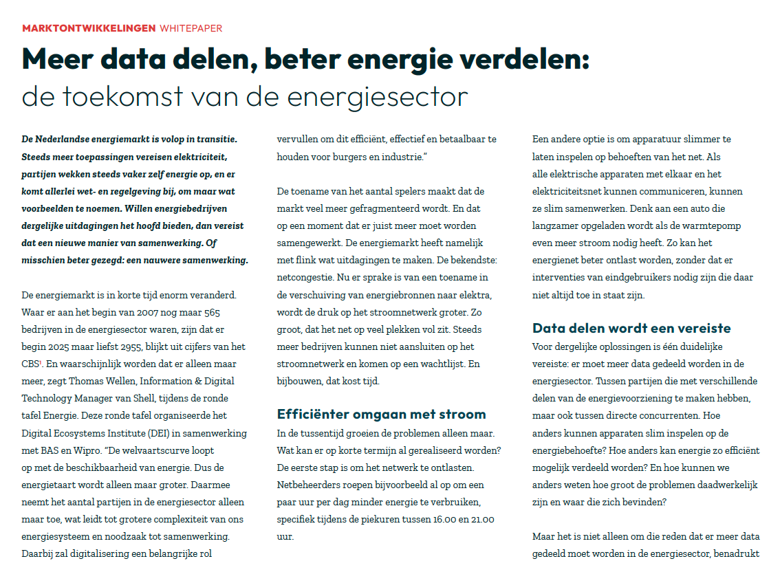 Whitepaper energiesector in ITeX Jaarboek