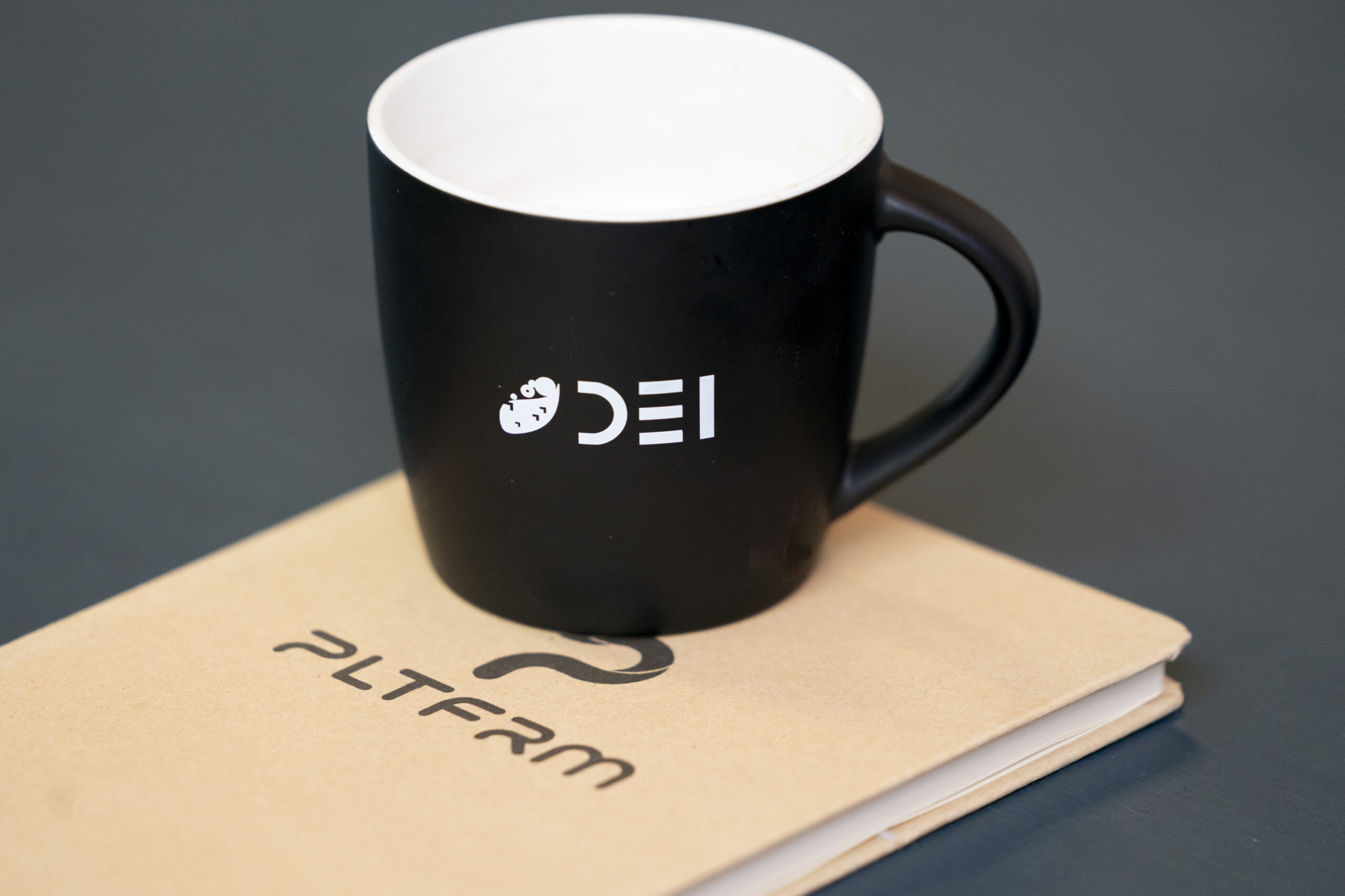 DEI & PLTFRM