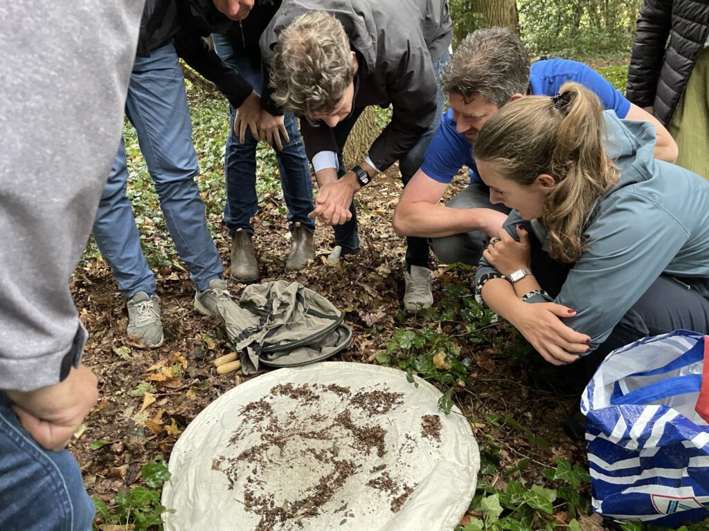 Masterclass Leren van natuurlijke ecosystemen - editie in 2025
